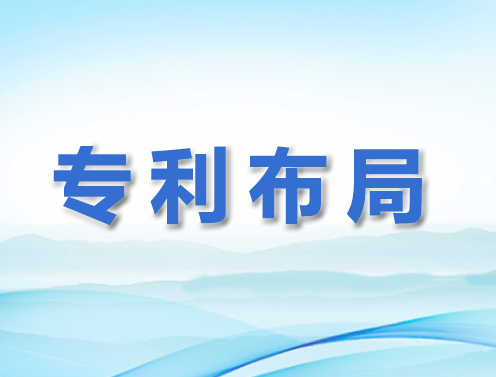 專利布局